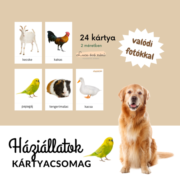 Háziállatok