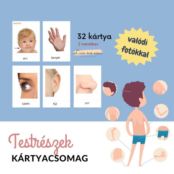 Testrészek kártyacsomag
