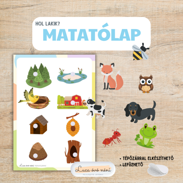 Hol élnek az állatok? matatólap
