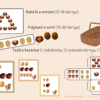 Játékok őszi termésekkel (nyomtatható kártyák, lapok) - Image 4