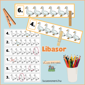 Libasor