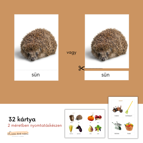 Őszi szókincs kártyacsomag - Image 2