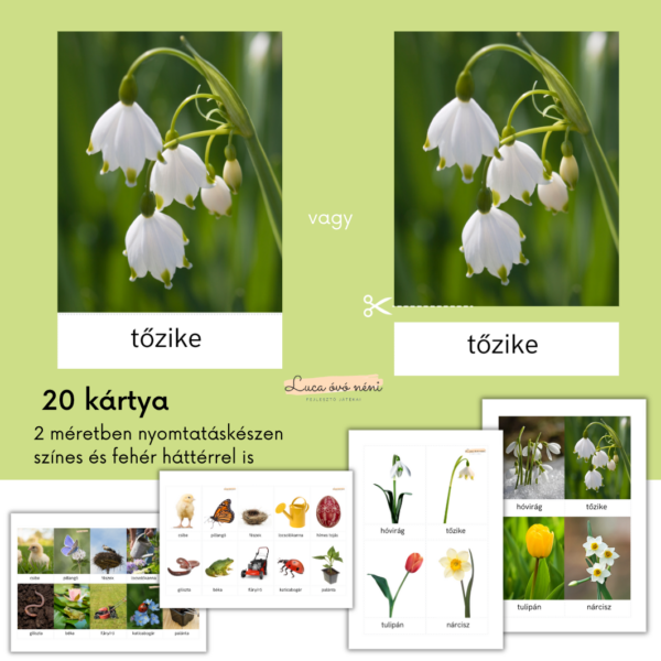 Tavaszi szókincs kártyacsomag - Image 2