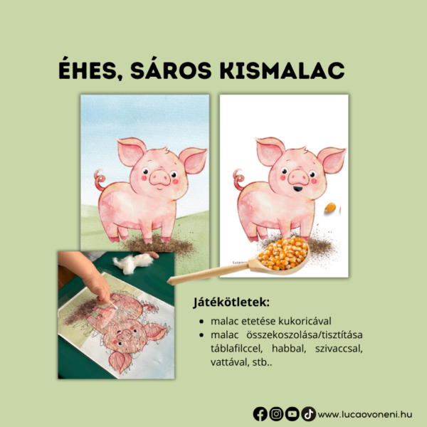 Háziállatos fejlesztő játékok - Image 6