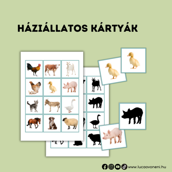 Háziállatos fejlesztő játékok - Image 7