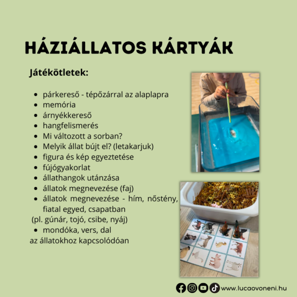 Háziállatos fejlesztő játékok - Image 8