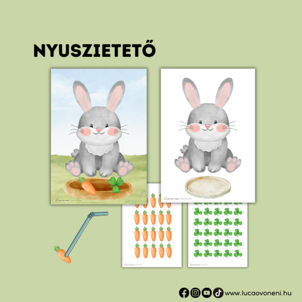 Háziállatos fejlesztő játékok - Image 4
