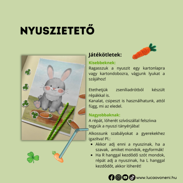 Háziállatos fejlesztő játékok - Image 5