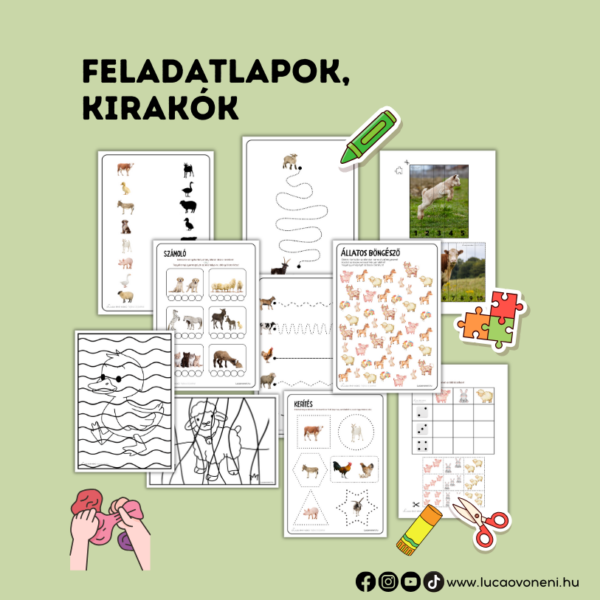 Háziállatos fejlesztő játékok - Image 3