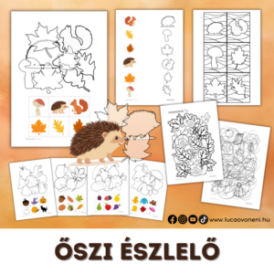 Őszi észlelő
