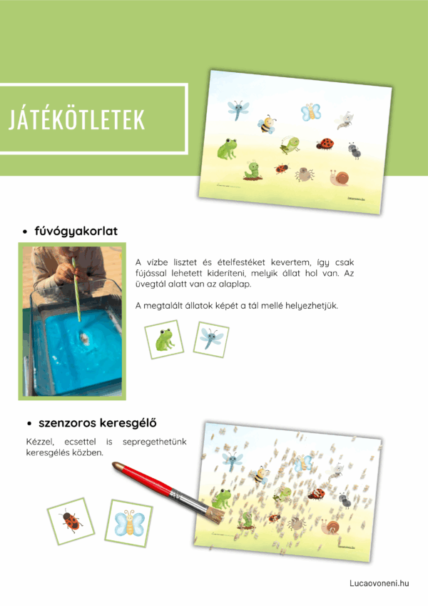 Keresgélő - A mező élővilága - Image 4